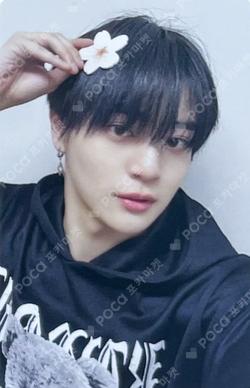 UNDENIABLE FANPLEE Hong Sung Min photocard image