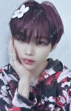 UNDENIABLE FANPLEE Kim Gyu Rae photocard image