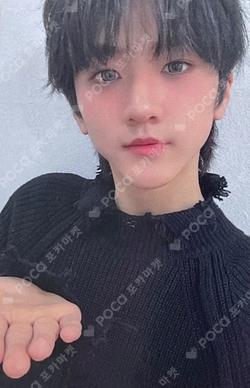 UNDENIABLE INTERASIA Kaedan photocard image