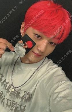 FLEX LINE EVERLINE CHOIWOOJIN photocard image