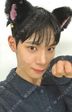 FLEX LINE Rising Star