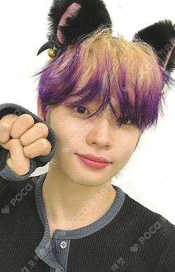 FLEX LINE Rising Star SHINYECHAN photocard image