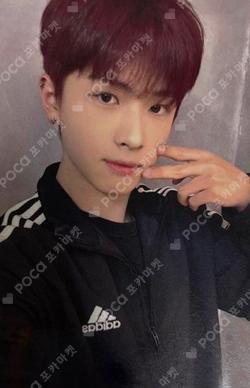 UNDENIABLE Starlike Music Oh Hyeon Tae photocard image