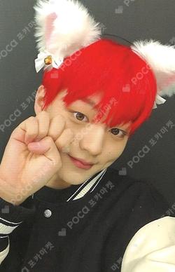 FLEX LINE Rising Star CHOIWOOJIN photocard image