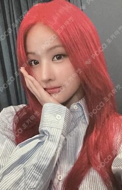 2024 Season's Greetings BELLE photocard image