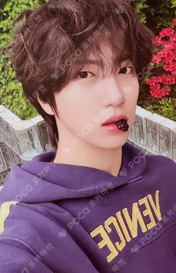 Dare to Crave MD ver.