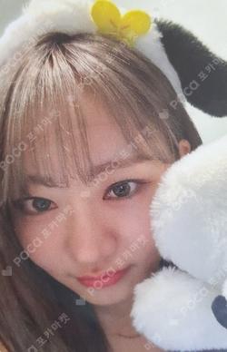 Born to be XX FLNK LUCKY DRAW JULIE photocard image