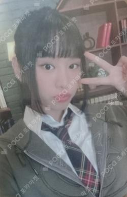 2024 Season's Greetings EVERLINE
