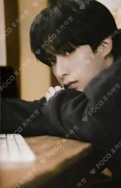 Camellia [POCAALBUM]