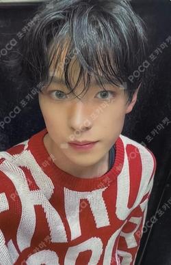 Steady KMS YUSHI photocard image