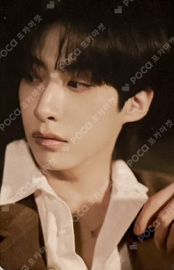 Camellia [POCAALBUM]