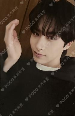 Camellia [POCAALBUM] Bizent Mall XION photocard image