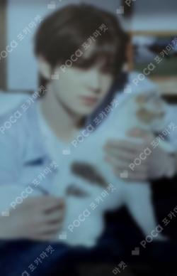 Nice to see you again Limited Edition A SHINYU photocard image