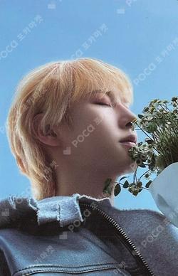 DREAMSCAPE DREAMSCAPE Ver. Japan Exclusive Ver.