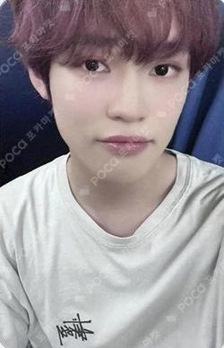 Golden Age Archiving Ver. Japan Exclusive Ver. CHENLE photocard image