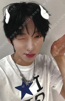 WILD&FREE MUSICART KAMDEN photocard image
