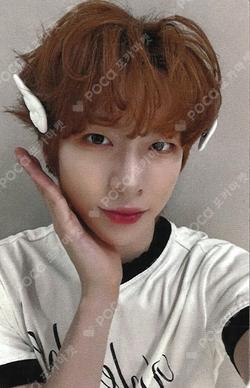 WILD&FREE MUSICART JIHO photocard image