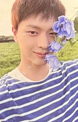 All About Blue PLATFORM Ver. YOOK SUNGJAE photocard image