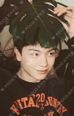 All About Blue PLATFORM Ver. YOOK SUNGJAE photocard image