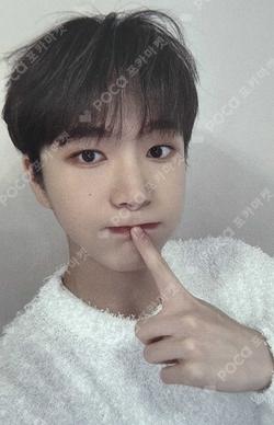 ITTABOOK KEVIN photocard image