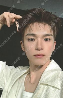 PLEASURE WEVERSE OFFICIAL MD REWARD