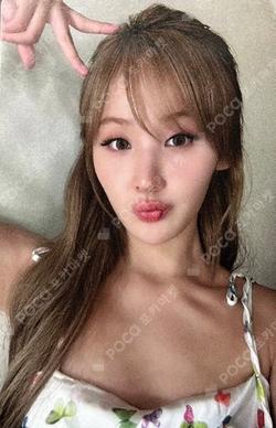 Sticky BROADCAST BELLE photocard image