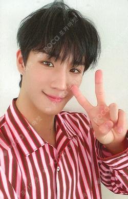 MUST HAVE NEMO Light ver. Jeong Seunghwan photocard image