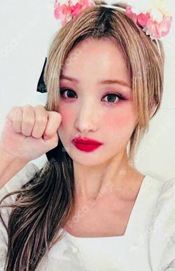 Midas Touch Hellolive shop BELLE photocard image