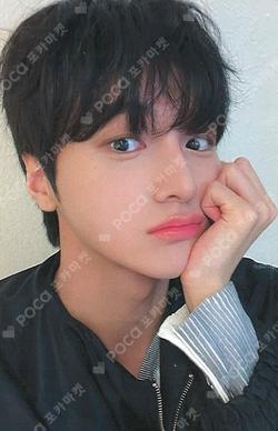 DRIPPIN FAN CONCERT [PLAY : Drippin Adventure] RANDOM SCRATCH MESSAGE + PHOTOCARD SET