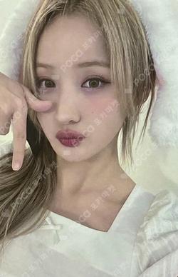 Midas Touch Hellolive shop WINNER BELLE photocard image