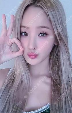 Midas Touch DEAR MY MUSE BELLE photocard image