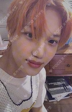 DON'T FIGHT THE FEELING Expansion Ver. KAI photocard image