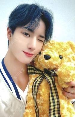 The Beginning : 飛上 DEAR MY MUSE Jeong Seunghwan photocard image