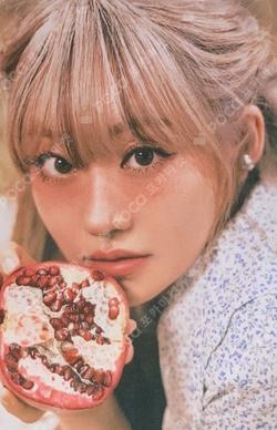 Midas Touch POCA ALBUM JULIE photocard image