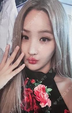 Midas Touch WITHMUU BELLE photocard image