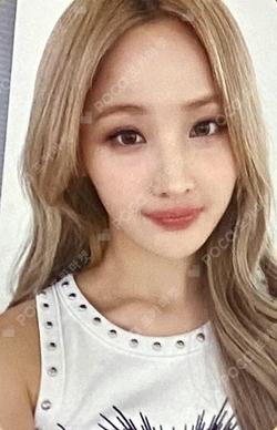 Midas Touch PHOTOCARD SET BELLE photocard image