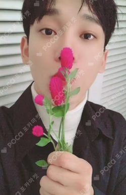 Dear My Dear Dear Ver.