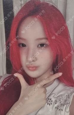 Born to be XX DEAR MY MUSE BELLE photocard image