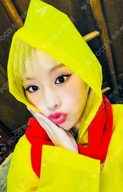 Midas Touch Hellolive shop NATTY photocard image