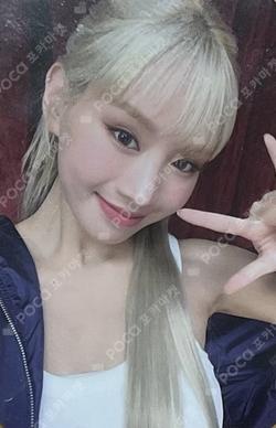 Midas Touch MD REWARD NATTY photocard image