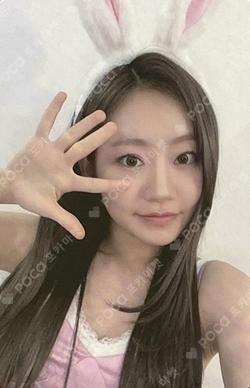 Midas Touch Hellolive shop JULIE photocard image