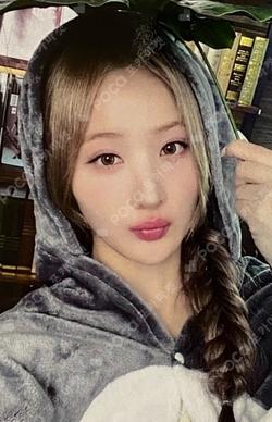 Midas Touch EVERLINE BELLE photocard image