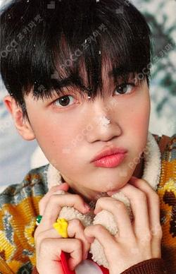 MUST HAVE NEMO Light ver. Kim Yeonkyu photocard image