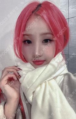 Born to be XX DEAR MY MUSE BELLE photocard image