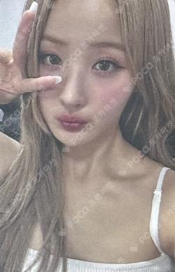 Midas Touch BROADCAST BELLE photocard image