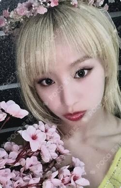 Midas Touch KISS OF LIFE Official Shop NATTY photocard image