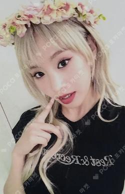 Midas Touch Hellolive shop WINNER NATTY photocard image