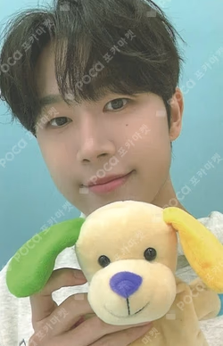 The Rise EVER ver. KimDongHyun photocard image