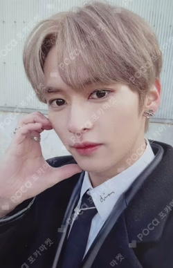 Stray Kids LEE KNOW photocard image