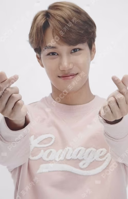 2017 EXO POWER UP